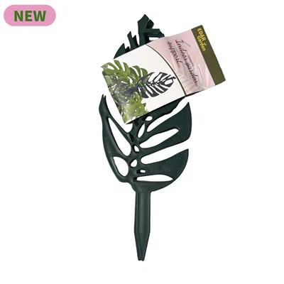 2pc Monstera Form